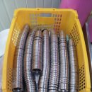 수리중학교 이미지