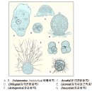 상강축사 이미지