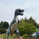 유성중앙유치원 이미지