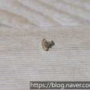 포샤르플란트치과의원 이미지