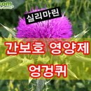 콩닥허브 이미지