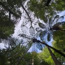 안산카스피드웨이 | 떠나요 뉴질랜드 여행이야기 (6) Day6 블루스프링스 워크웨이 로토루아 와카레와레와 마오리 민속촌