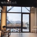 캐리피트니스 이미지