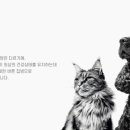 로얄케어클럽 네이버블로그