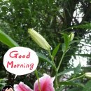 부광부동산중개사무소 이미지