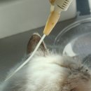 별담동물병원 이미지