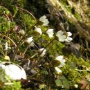 생명의 소리 이미지