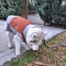 와썹 코인 | 2026 불교박람회 후기! 내돈내산! 와썹맨 실물영접!