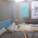 페스코