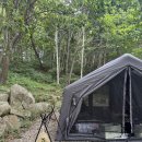 봉평별빛 | 강원도 평창 삼남매와 뭉치네 캠핑장 이용꿀팁 솔직후기/봉평시장 원이닭강정🐔