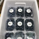 용달농장 이미지