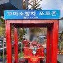 배영숙 산야초밥상 이미지