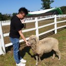 동산사슴목장 이미지