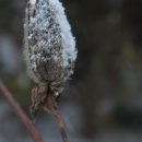 고래민박 이미지