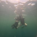 쓰리씨원 | 남자친구 부모님과 함께 3박 5일 행복 세부여행