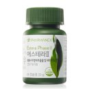 에스테라 이미지