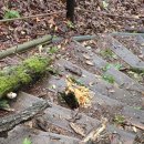 북한산 I 코스 종주 갑니다 이미지