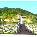 숲속의바다 바다동 이미지