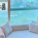 캐리비안민박 이미지