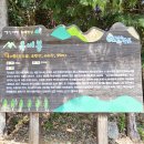 용해동행정복지센터 이미지