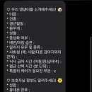 꿈꾸는개 이미지