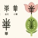 花와 華의 의미 이미지