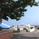 폭낭 올레집 이미지