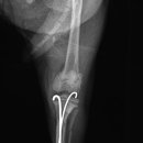 정강동물병원 이미지