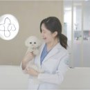 에이드동물병원 이미지
