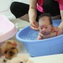 라라스튜디오 이미지