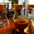 제시엘리스 이미지