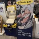 악스키드 스핀키드 프로 내돈내산 구매후기