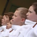 (공연) 파리나무십자가 소년합창단 크리스마스 특별초청공연 이미지