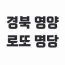 영양로또 티스토리