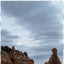 최적 행정사사무소 이미지