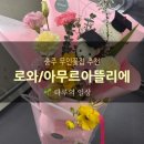 큰꽃지천 | 충주 무인꽃집 추천 졸업식 꽃다발 로와｜아무르아뜰리에
