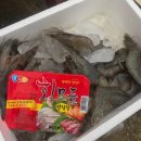 시드니펜션 이미지