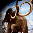 트릭아트뮤지엄 이미지