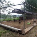 숲들내캠핑장 이미지