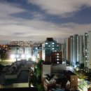 빈스독 | [독에어X키노빈스] 독에어 베리 퍼스트 루프탑 시네마 후기 에피1... "날카로운 첫 키스의 추억이랄까요?"