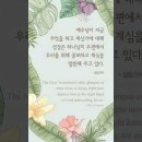 오늘의 '신앙 명언'(320강) 필립 얀시(Philip Yancey) 이미지