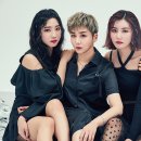 위너아이스 이미지