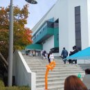 태권도예일체육관 이미지