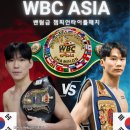 이은혜 복싱클럽 이미지