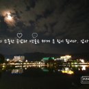 베러댄와플공항동점