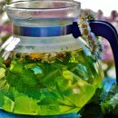 약초활용 생활건강법 이미지