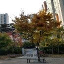 영축산순환산책로(유아숲) 이미지