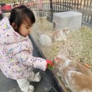 압록상상스쿨 | 곡성 아이랑 가볼만한 곳 압록상상스쿨 단짠단짠 아쿠아 체험 후기