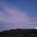 달마고도민박 이미지