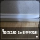 살림이 편해지는 정리정돈 | 강아지 고양이 전선 안전 전선정리, 살림언니 이지컷 전선몰딩